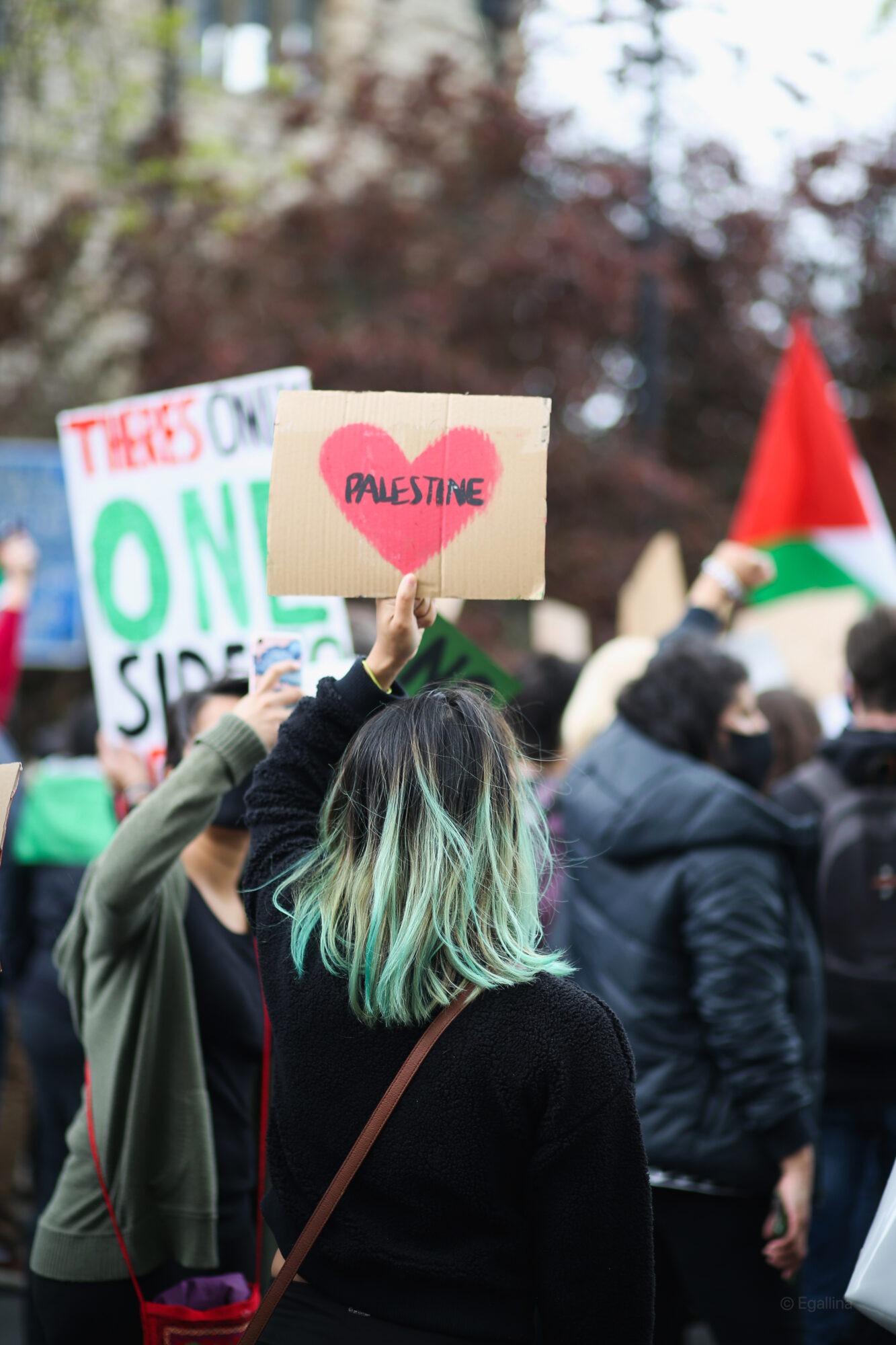 Photo of picket signs from the Solidarity March for Palestine in 2021