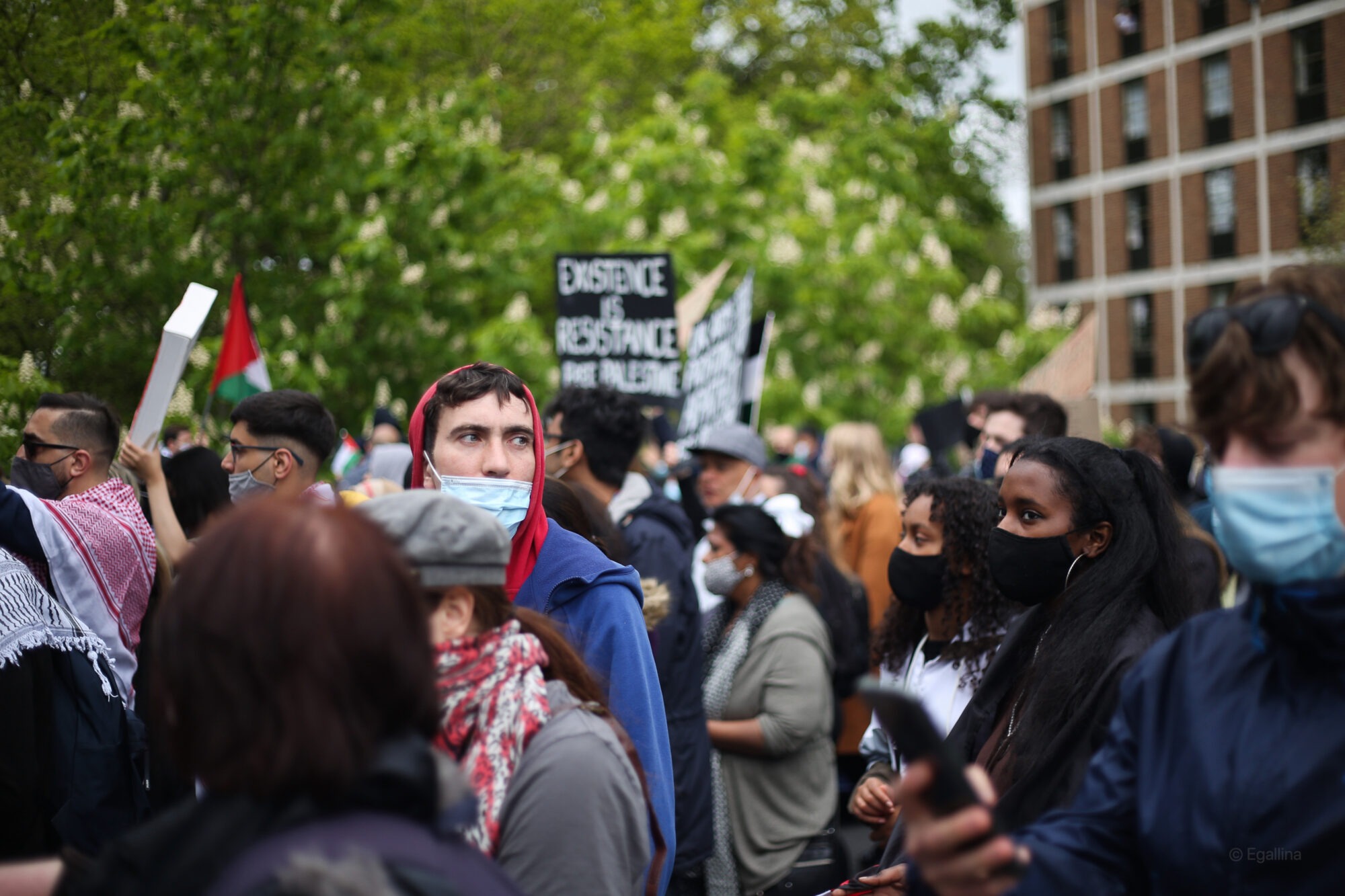 Photo of marchers from the Solidarity March for Palestine in 2021