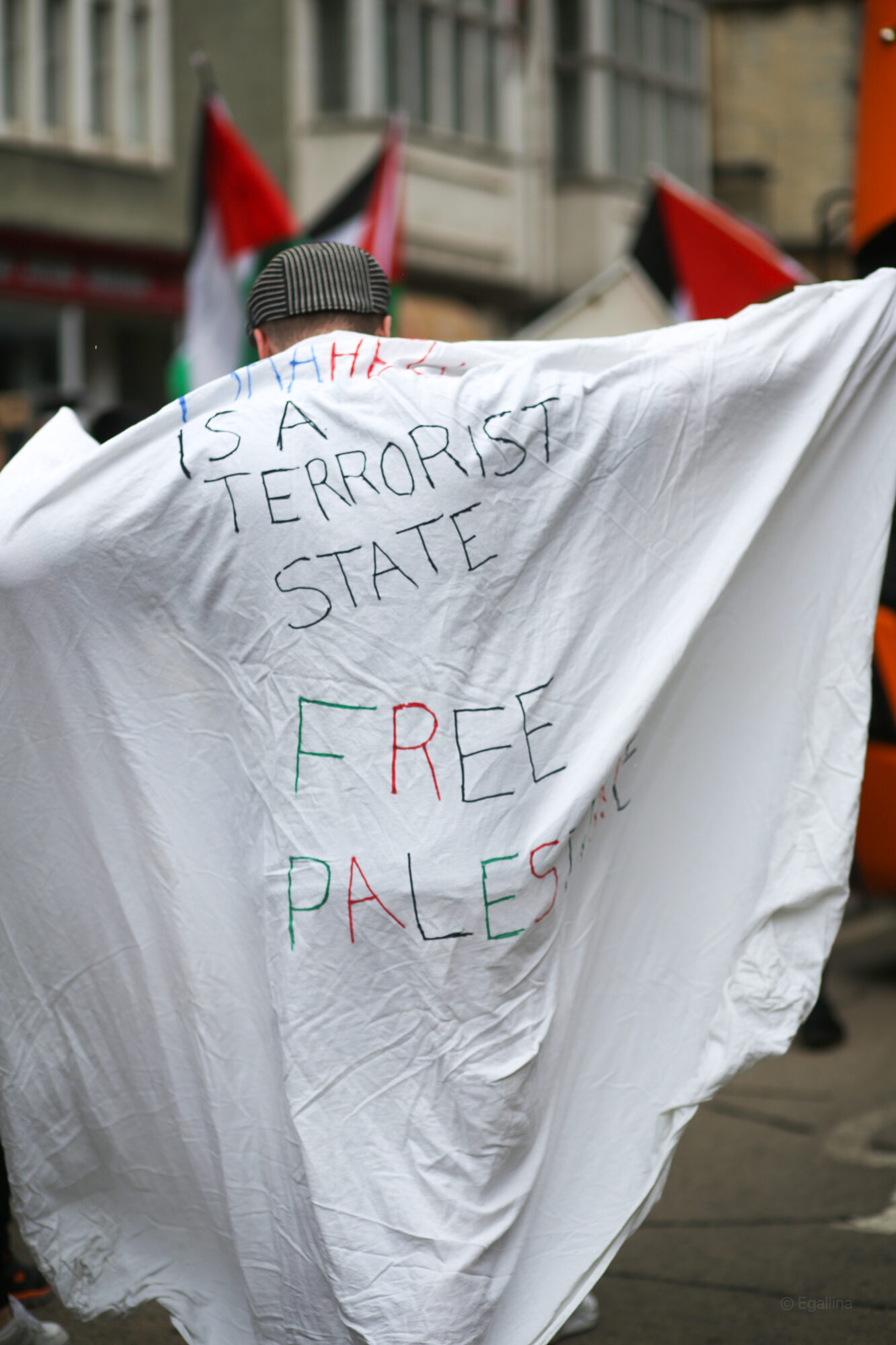 Photo of picket cape from the Solidarity March for Palestine in 2021