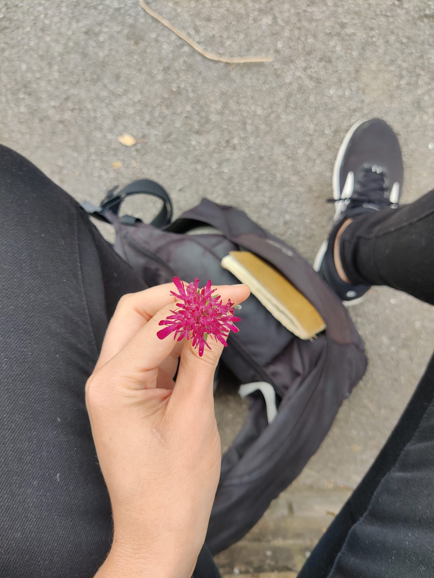 Photo of a person holding a leaf as part of Leaves by Elena Gallina